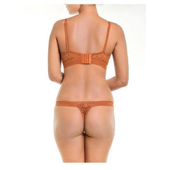 All Over Sheer Lace Bra and Panty Set