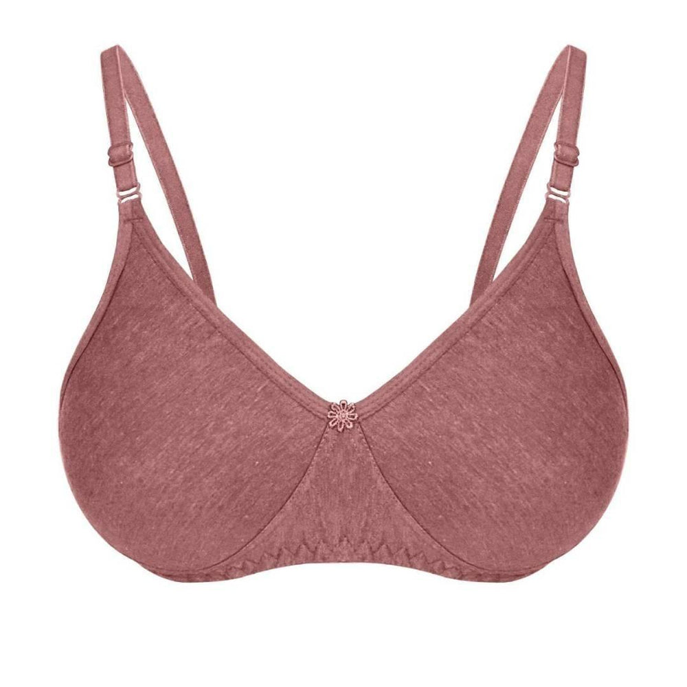 Beautiful Padded Wired Bra 3/4th Coverage Fine Color T-Shirt Bra For Women