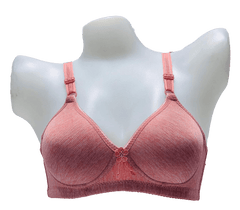 Elegant Self Padded T-Shirt Bra