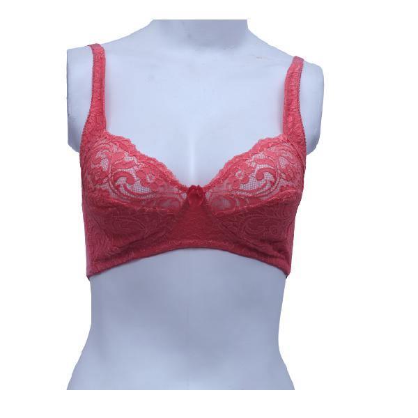 Best bra for good shape Floral Lace Net Embroidered Bra –
