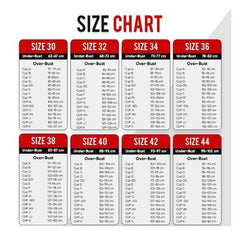 Lace Mesh Longline Sexy Bra Panty Set