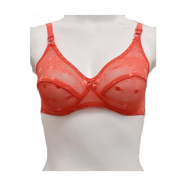 Matching See Through Net Embroidered Bra