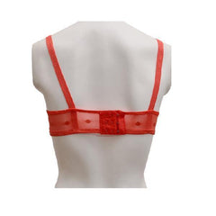 Matching See Through Net Embroidered Bra