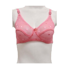 Matching See Through Net Embroidered Bra