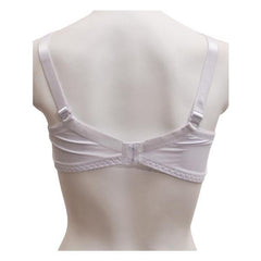 Net and Lace Embroidered Fancy Bra