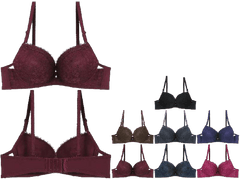 Nylon B Cup thin sponge sexy Lace underwire Ladies bra | Lightly Padded Underwire Bra