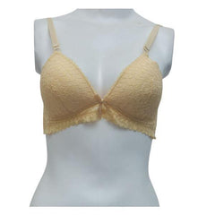 Splendour Padded Bra