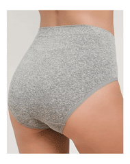 Tahari Pack Of 3 Seamless High-Waisted Brief