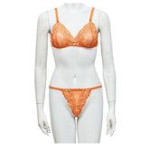 Women Bra Non Padded Net Bra See Through Embroidered Bra Panty Set