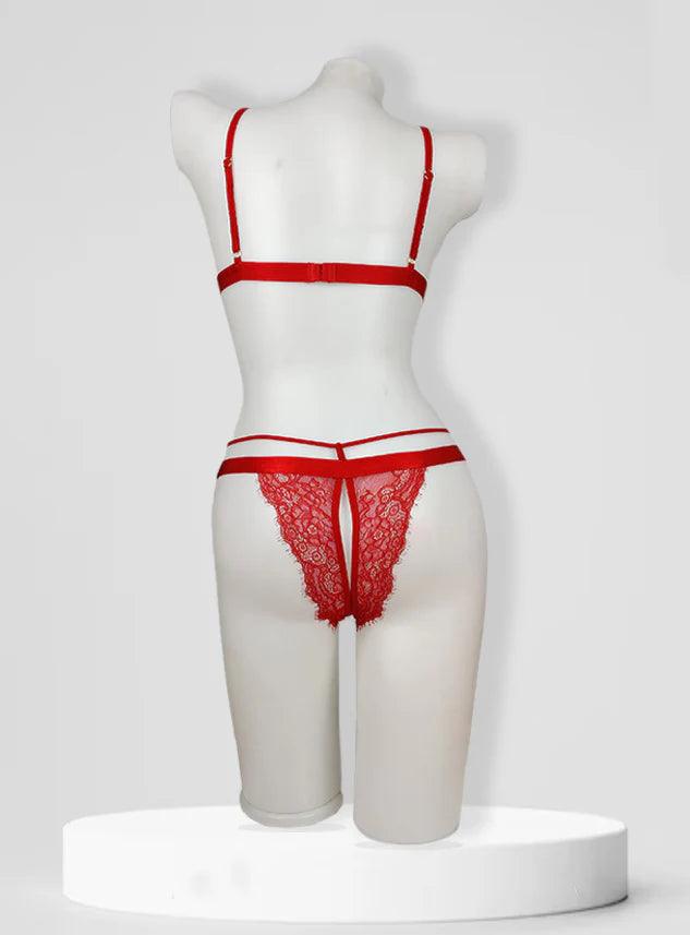 Stylish Sexy bra Panty Set_Full Net Sexy Lingerie Set