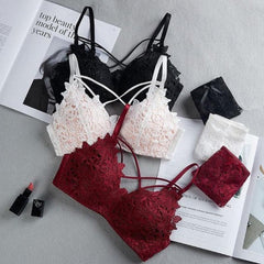 Sexy Women's Hot Embroidery lace Padded Designer Girls Lingerie Bra