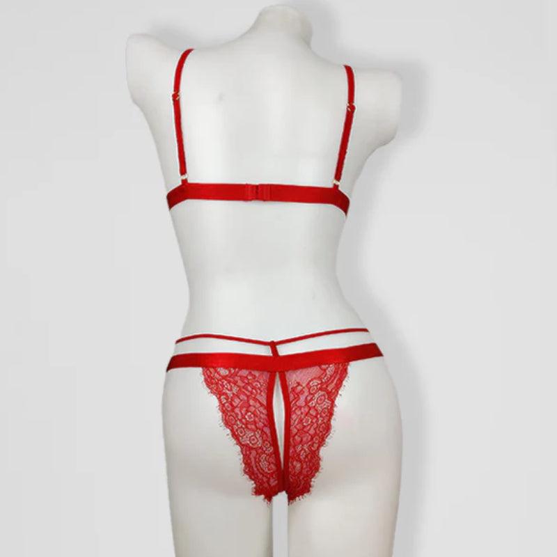 Stylish Sexy bra Panty Set_Full Net Sexy Lingerie Set