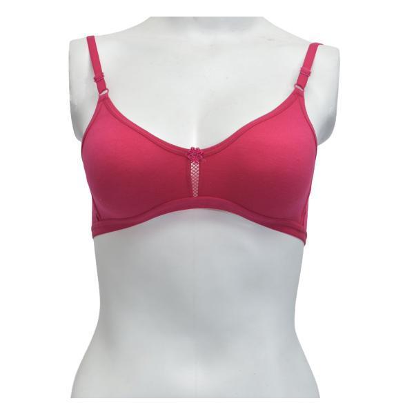 Beautiful Padded Wired Bra 3/4th Coverage Fine Color Floral –