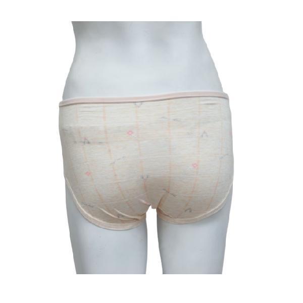 Check Print Pastel Color Panties