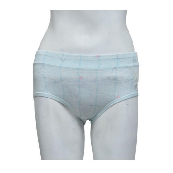 Check Print Pastel Color Panties