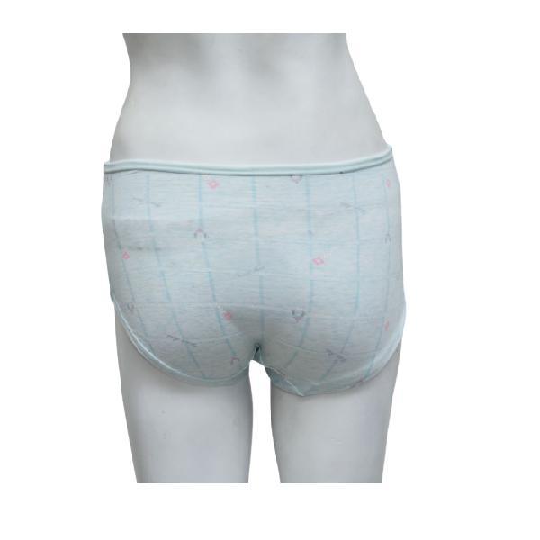 Check Print Pastel Color Panties