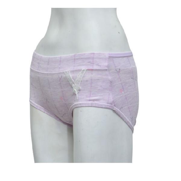 Check Print Pastel Color Panties