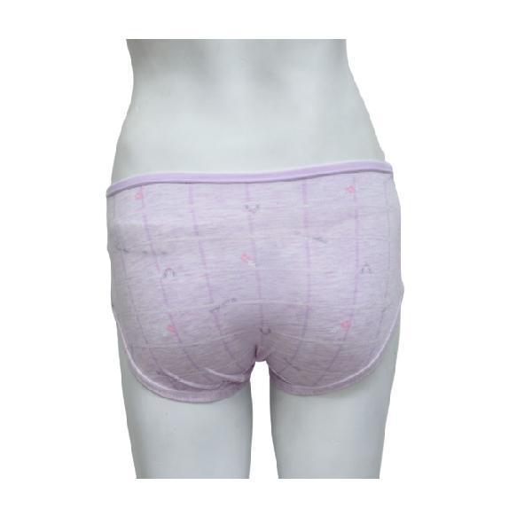 Check Print Pastel Color Panties