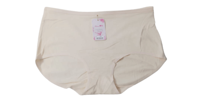 Classic Everyday Panties For Women