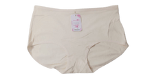 Classic Everyday Panties For Women