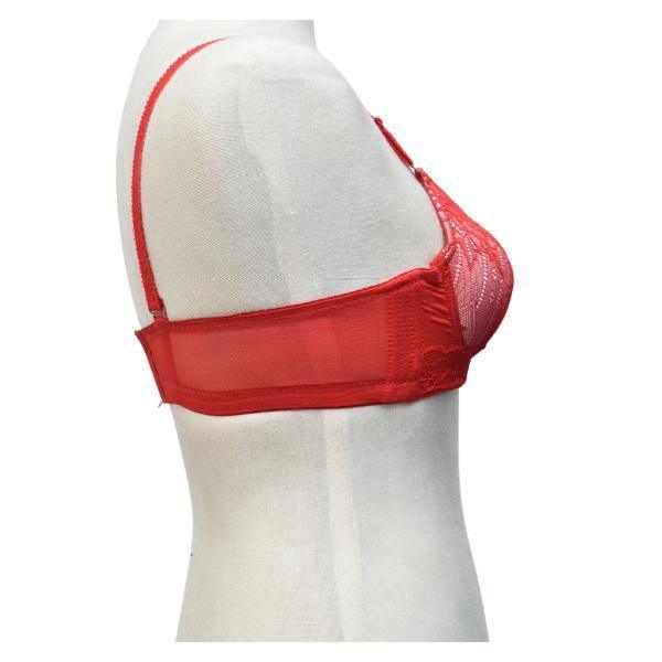 Demi Cup Fancy Push Up Bra