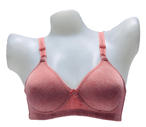 Elegant Self Padded T-Shirt Bra