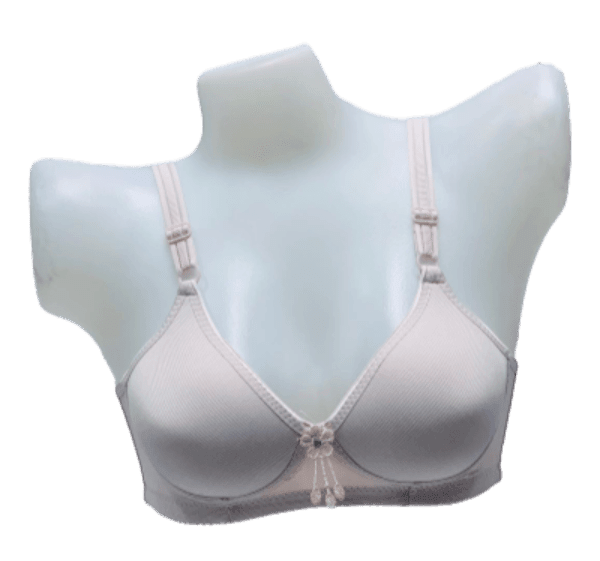 Elegant Self Padded T-Shirt Bra