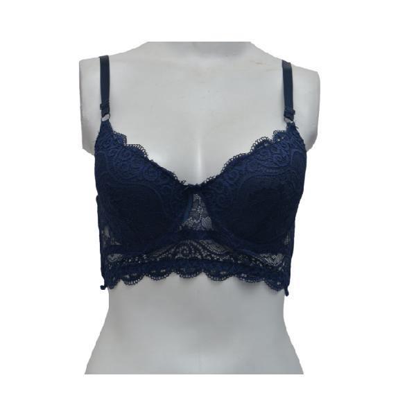 Embroidered Fancy Bra