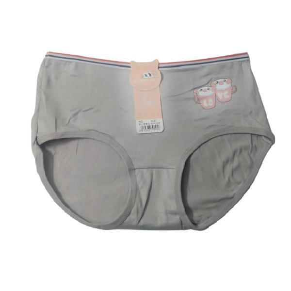 Everyday Cotton Brief/Panties For Women