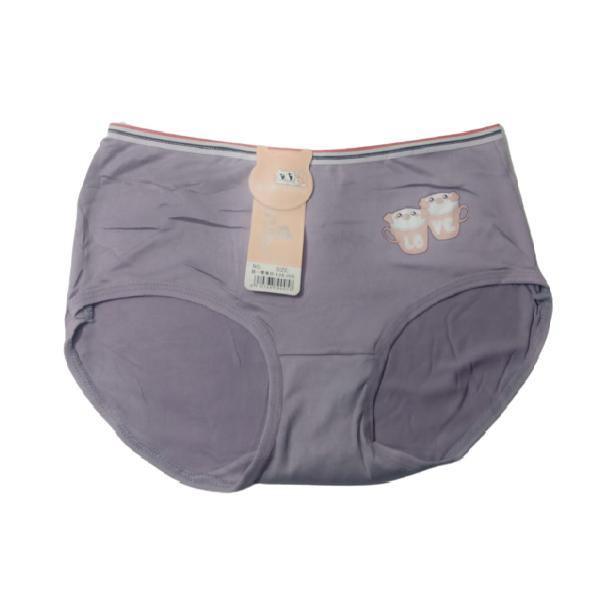 Everyday Cotton Brief/Panties For Women