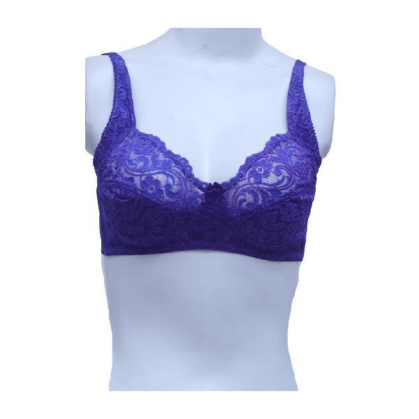 Floral Lace Net Embroidered Bra