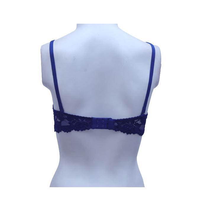 Floral Lace Net Fancy Bra