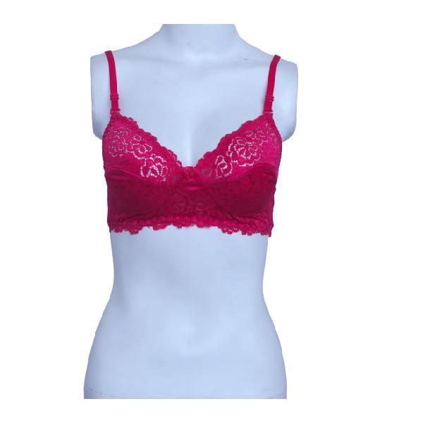Glow Embroidered Fancy Bra |Bridal Bra Online In Pakistan