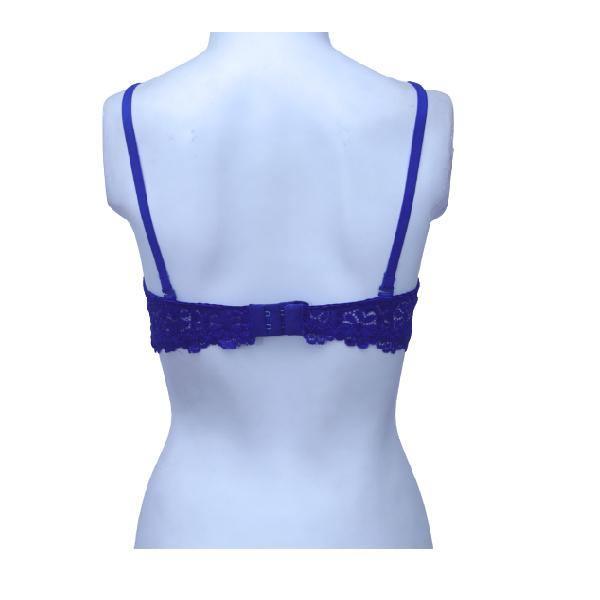 Glow Embroidered Fancy Bra |Bridal Bra Online In Pakistan