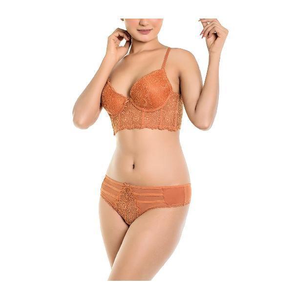 Lace Mesh Longline Sexy Bra Panty Set