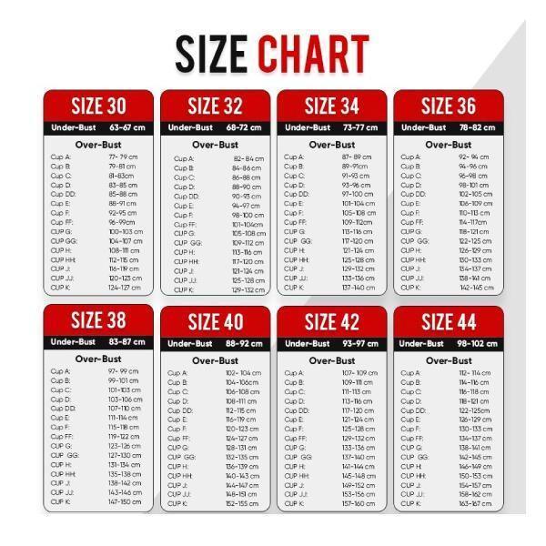 Lace Mesh Longline Sexy Bra Panty Set