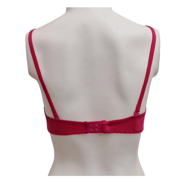 Ladies Seamless Bra Comfy Matching Seamless Stretchable Cotton T-Shirt Bra-Shapewear. Pk