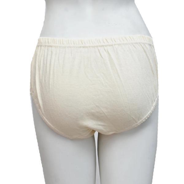 Lightly Stretchable Classic Panty