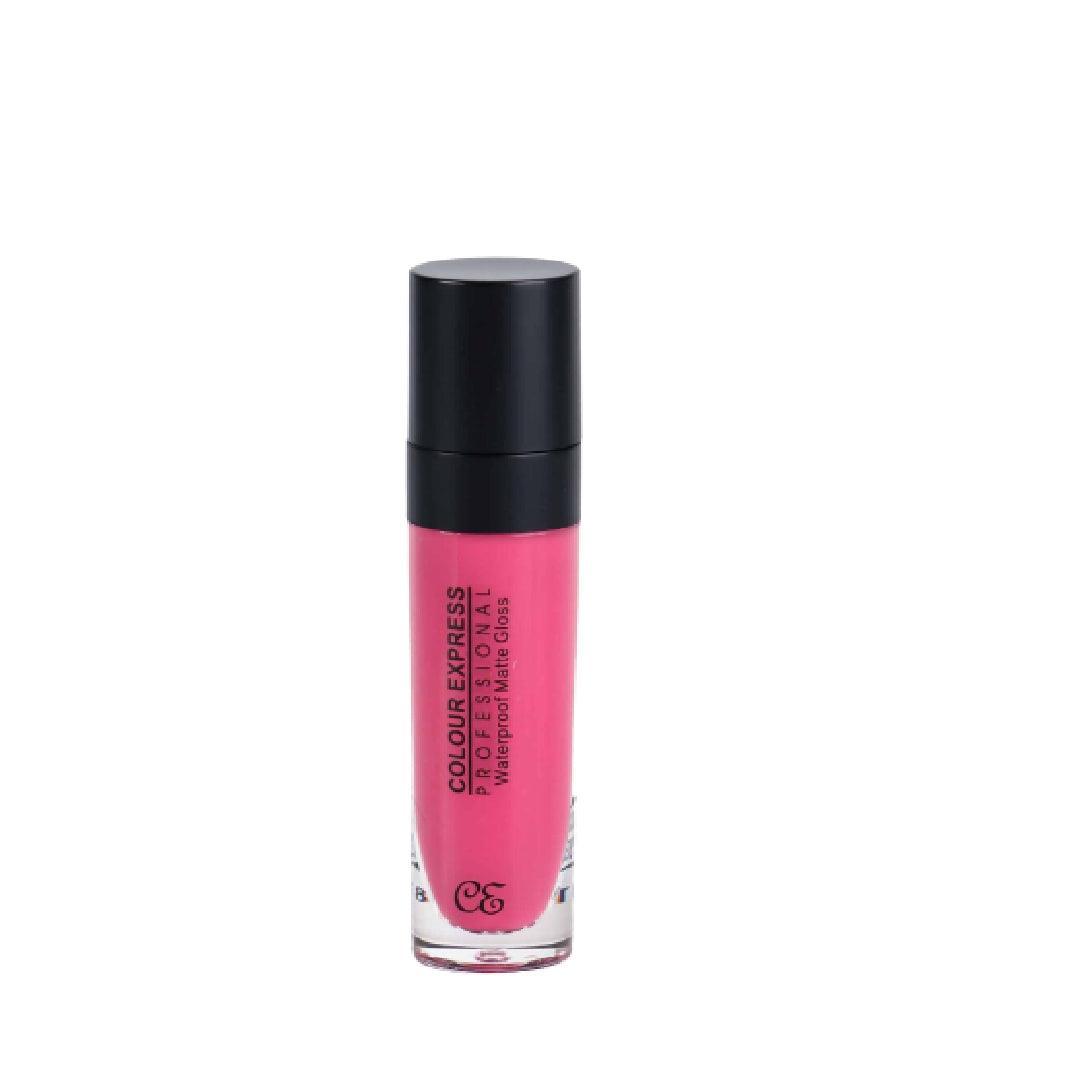 Lip Gloss 5 Color Express Lip Gloss Keep your Lips Glossy, Shiny, and Moisturized