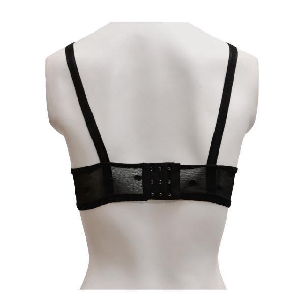 Matching See Through Net Embroidered Bra