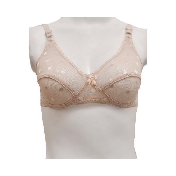 Matching See Through Net Embroidered Bra