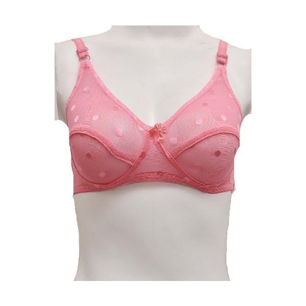 Matching See Through Net Embroidered Bra