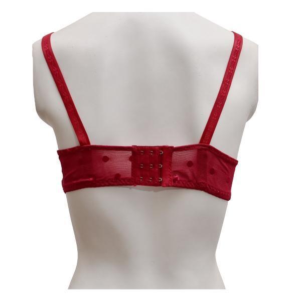 Matching See Through Net Embroidered Bra