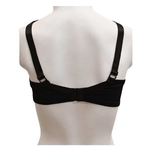 Net and Lace Embroidered Fancy Bra