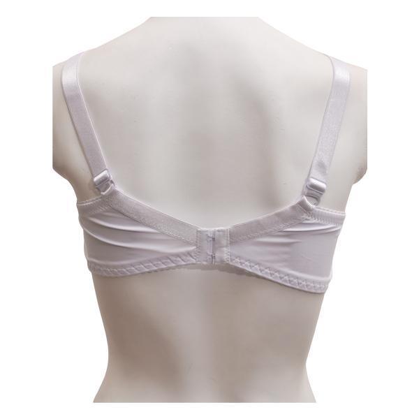 Net and Lace Embroidered Fancy Bra