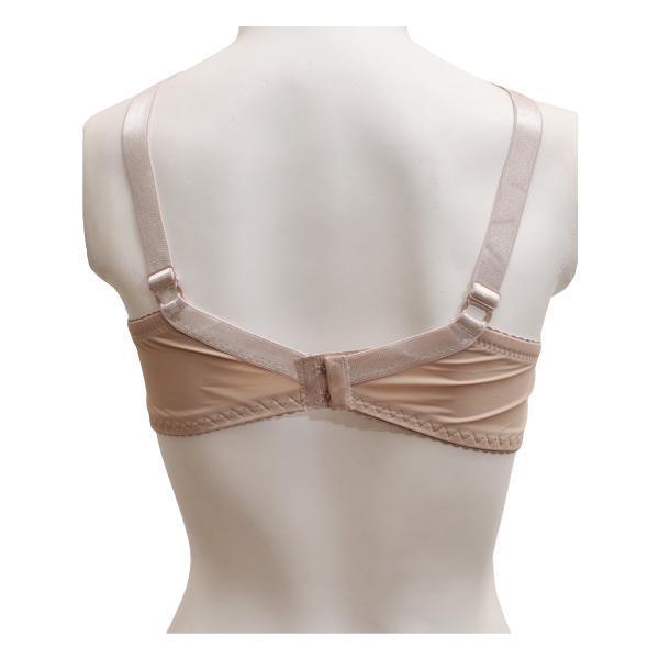 Net and Lace Embroidered Fancy Bra