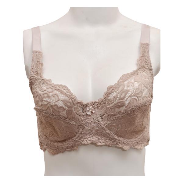 Net and Lace Embroidered Fancy Bra