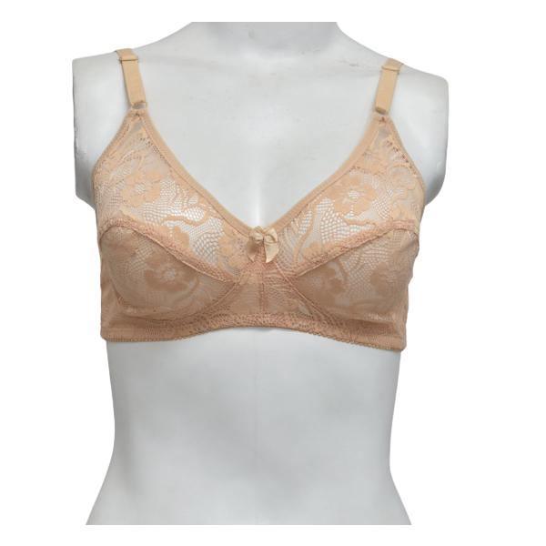 Net and Lace Embroidered Fancy Bra –