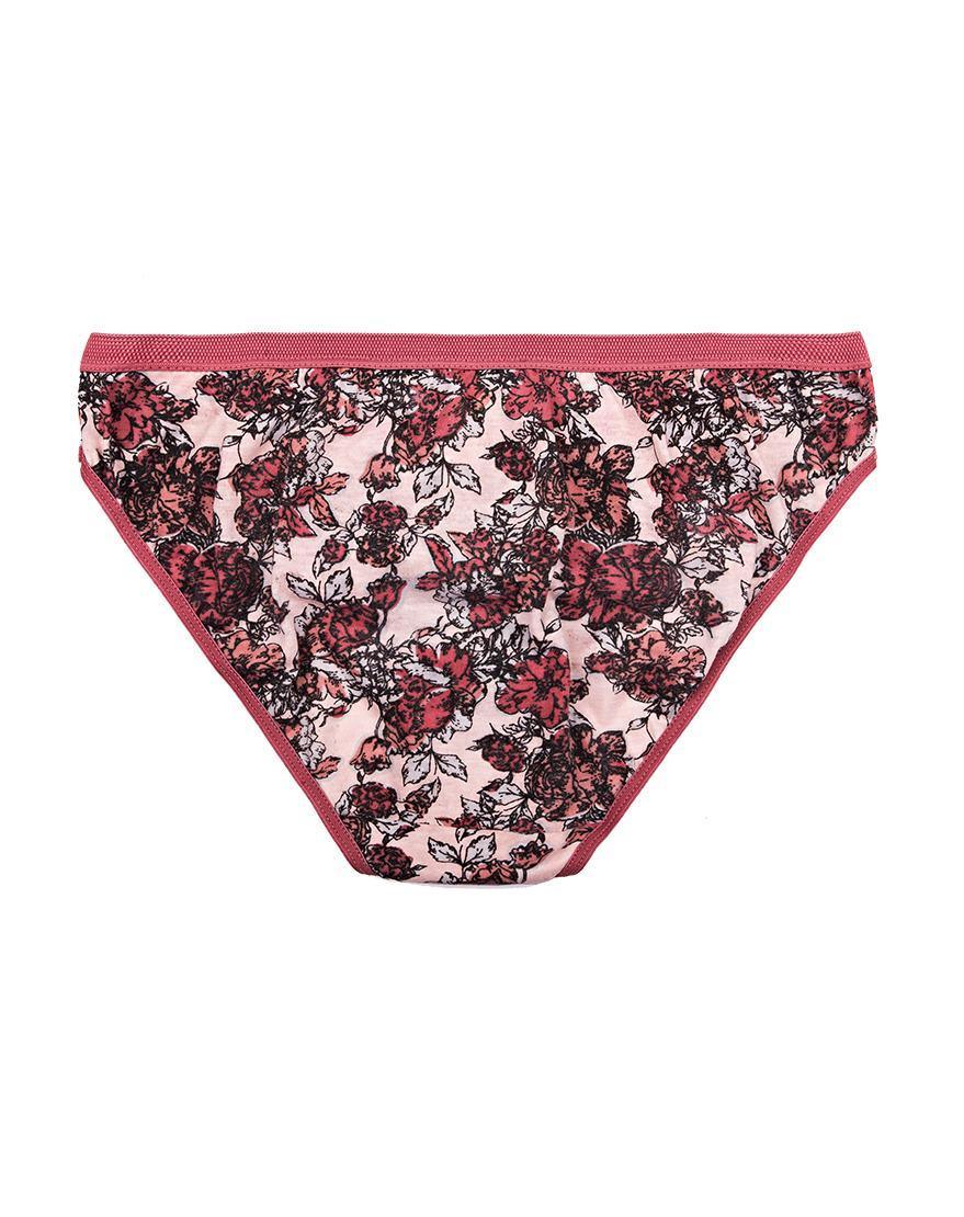 Pack Of 5 100% Cotton Bikini Brief