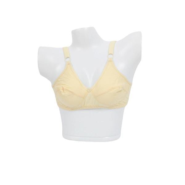 Plus Size Everyday Double Layered Bra For Women
